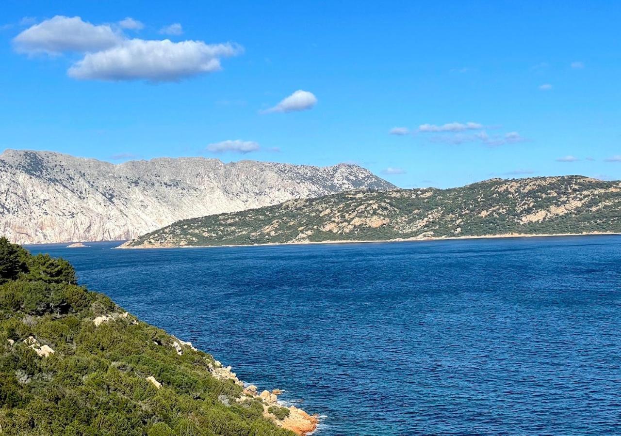 San Teodoro Punta Est Delizioso Monolocale Vista Mare Apartment ภายนอก รูปภาพ