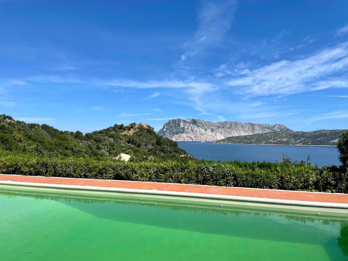 San Teodoro Punta Est Delizioso Monolocale Vista Mare Apartment ภายนอก รูปภาพ