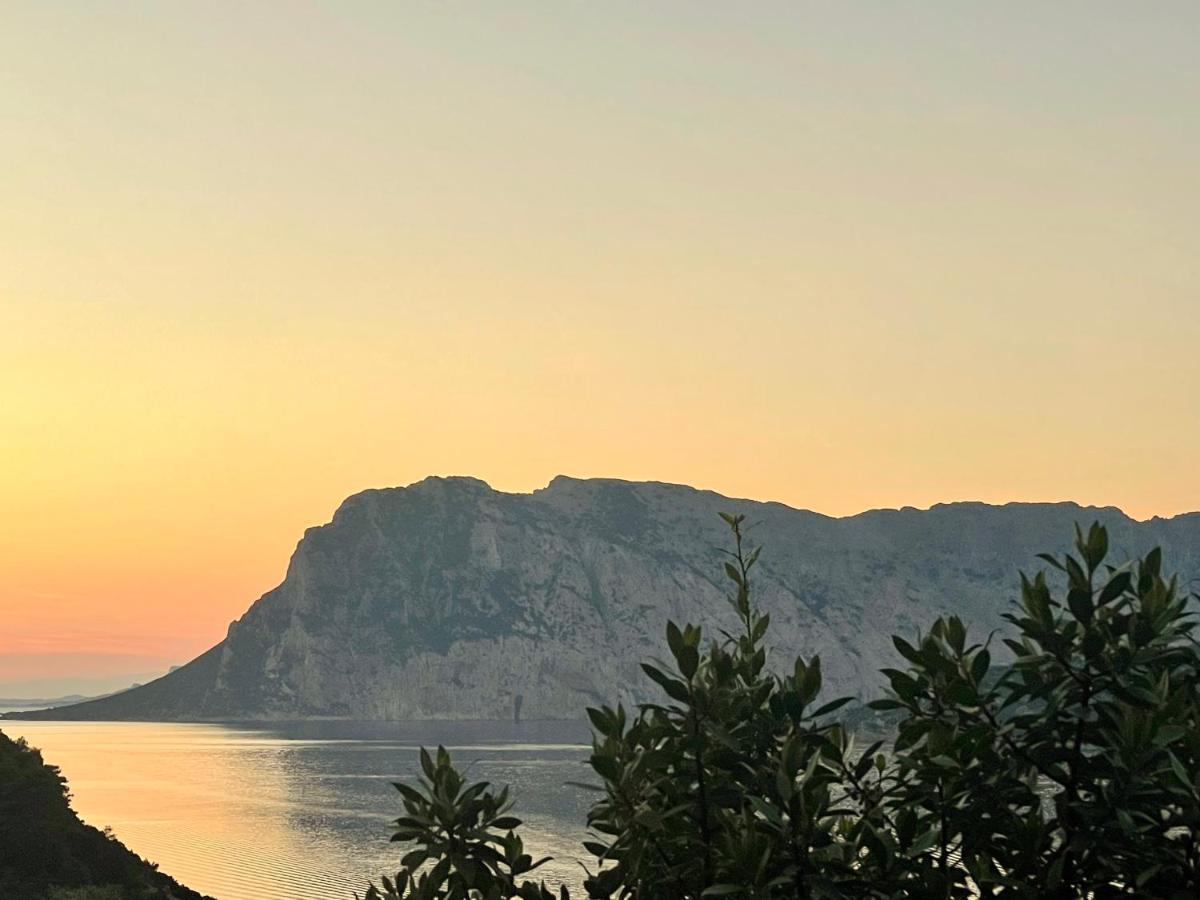 San Teodoro Punta Est Delizioso Monolocale Vista Mare Apartment ภายนอก รูปภาพ