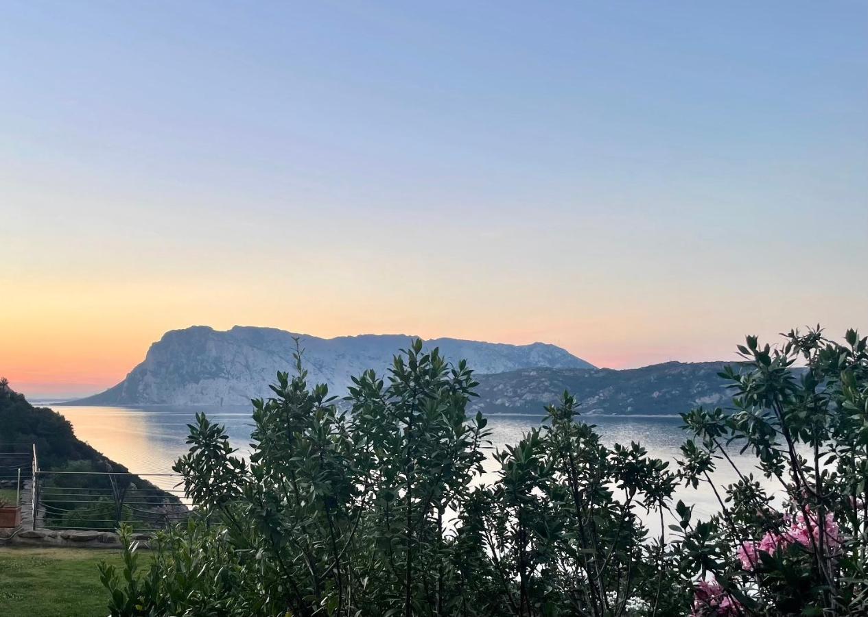 San Teodoro Punta Est Delizioso Monolocale Vista Mare Apartment ภายนอก รูปภาพ