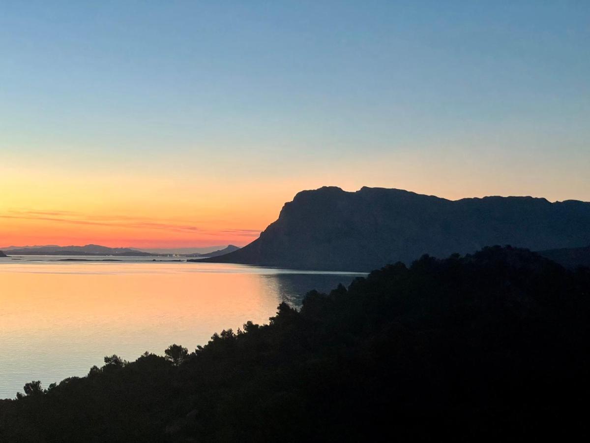 San Teodoro Punta Est Delizioso Monolocale Vista Mare Apartment ภายนอก รูปภาพ
